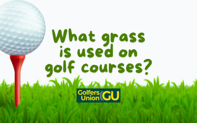 What grass is used on golf courses?
